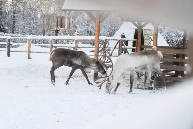 Фото экскурсии - Незабываемое путешествие по Карелии за четыре дня - 8