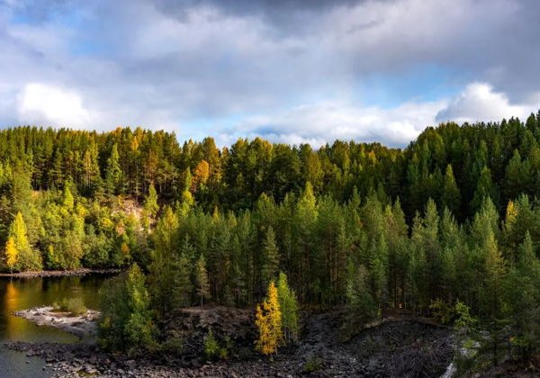 Карельский экспресс 4 дня - фото 4
