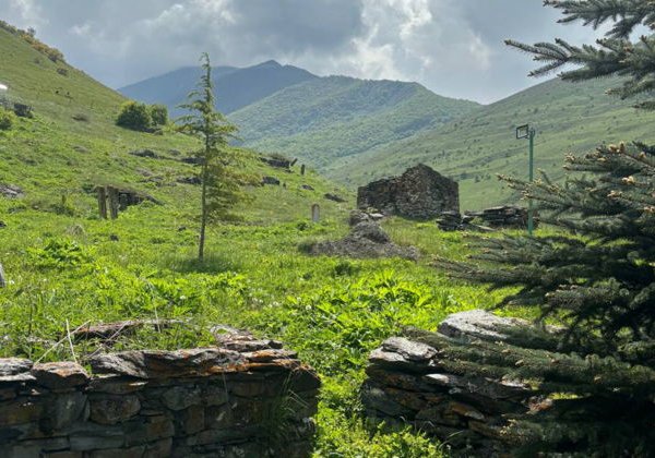 Вечер с душистым чаем — в горах Осетии - фото 4