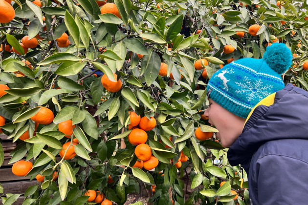 Фото экскурсии - Восточная Абхазия: Сухум, термальный источник Кындыг и мандариновый сад🍊 - 9