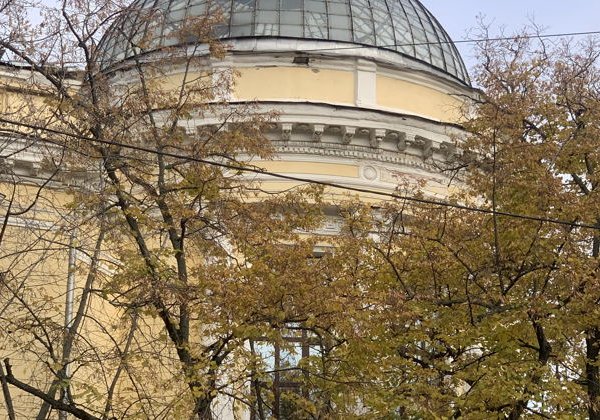 Чудо Девичьего поля - фото 4