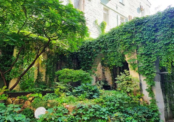 Архитектурная машина времени: 500 лет за 2 часа - фото 3