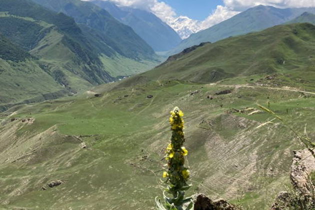 Горное царство: Верхняя Балкария, Язык Тролля и Голубые озера-4