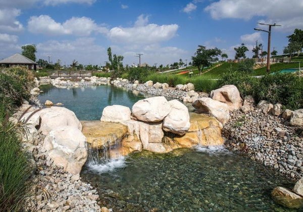 В мире животных — Дубай Сафари Парк - фото 4