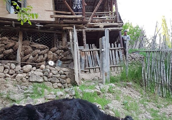 Кишлак, горы, шашлык и гелиокомплекс «Солнце» - фото 4