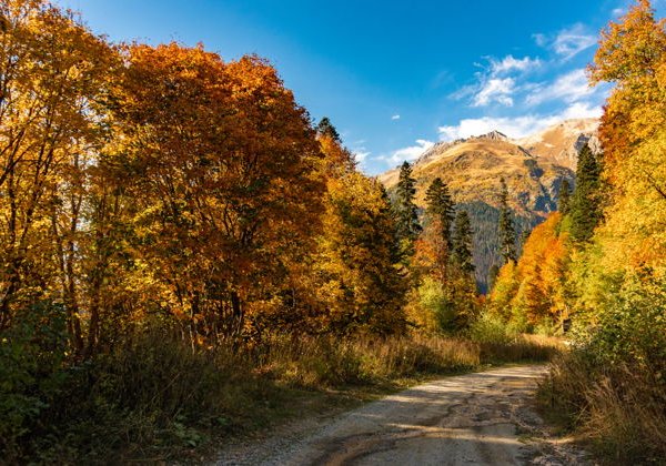 Домбай: природа и легенды Карачаево-Черкессии - фото 3