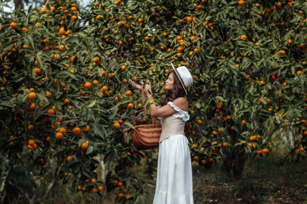 Гранд-тур Абхазия: Гагра, Мандариновый сад, Рица и Новый Афон