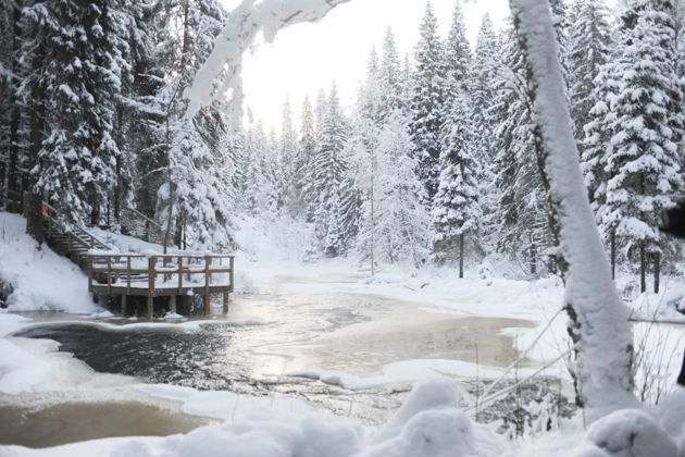 Фото экскурсии - Выходные в Карелии: Рускеала и Сортавала - 8