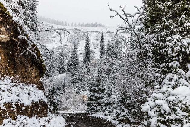 Фото - экскурсия: Великолепное ущелье в горах Заилийского Алатау