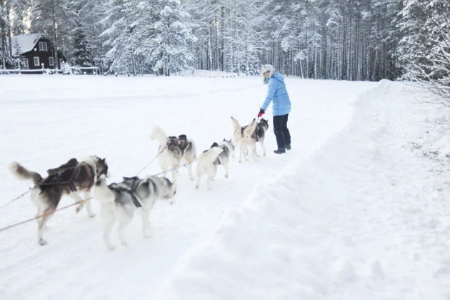 Фото экскурсии - Исследуйте всю Карелию за три дня в рамках гранд-тура - 6