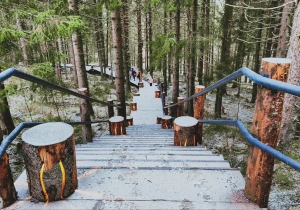 Семь чудес Карелии за два дня - фото 4