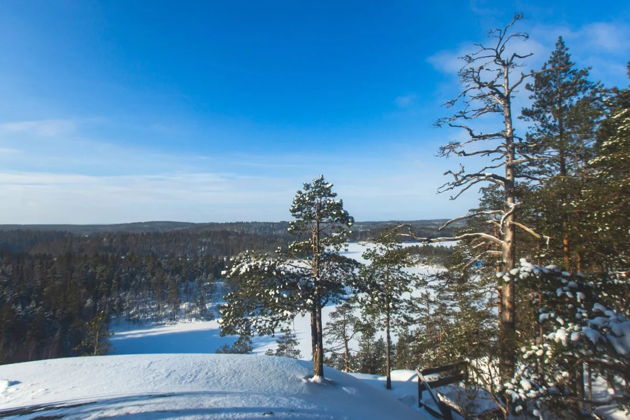 Фото экскурсии - Карельские пейзажи на Ретропоезде 2: Рускеала, водопады - 7