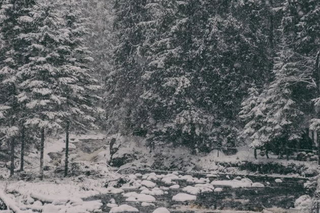 Фото экскурсии - Выходные в Карелии 2: Рускеала и водопады - 5