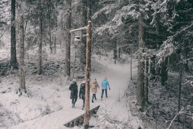 Фото экскурсии - Выходные в Карелии 2: Рускеала и водопады - 10