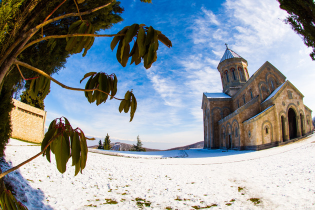 Фото - экскурсия: Кахетия: старинные крепости и виноградные ароматы