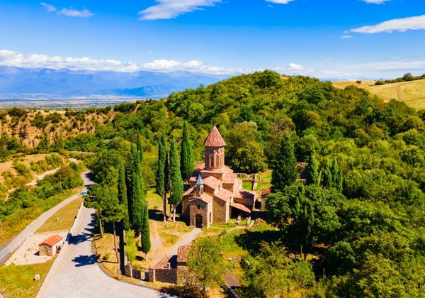 Кахети — край вина и виноделия - фото 4