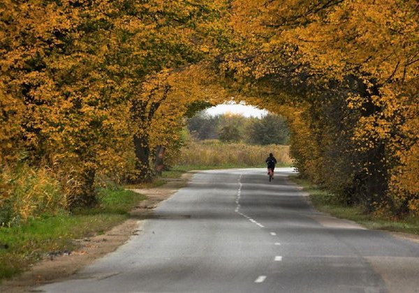 Балтийские курорты Светлогорск , Зеленоградск, Янтарный, Пионерский - фото 3