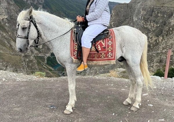 Хунзах, Матлас  и Каменная чаща из Дербента. Все включено. - фото 1