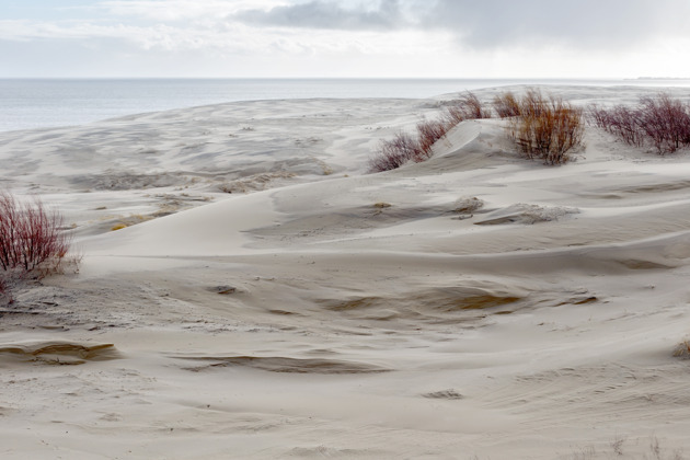 Фото - экскурсия: Однодневное путешествие по Куршской косе