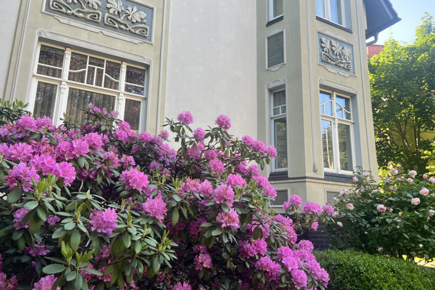 Прогулка по Амалиенау: раскрываем тайны архитектурных деталей