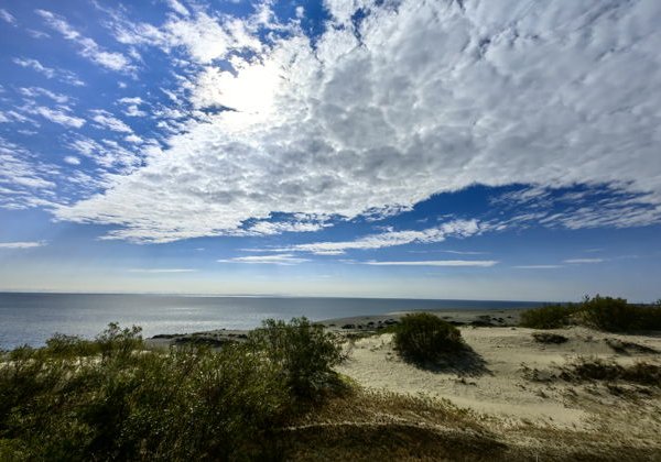 В гости к Неринге - Куршская Коса, Зеленоградск и сыроварня Шаакен Дорф - фото 3