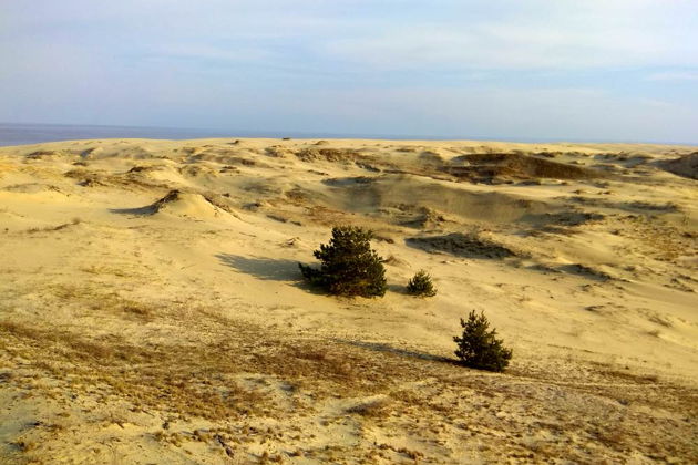 Куршская коса, замок Шаакен, Зеленоградск и Марауненхоф-3