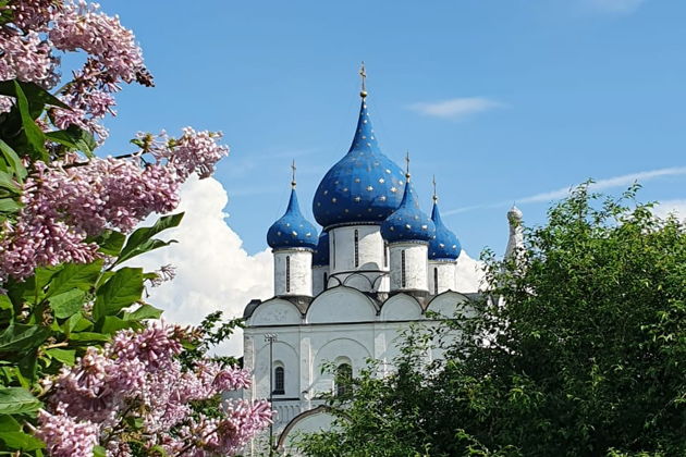 Прогулка по городу с коренным суздальцем-1