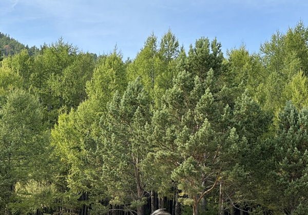 Природа Байкала в Большом Голоустном - фото 1