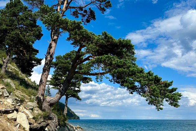 Фото экскурсии - Природа Байкала в Большом Голоустном и метановые пузырьки. - 12