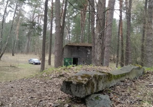 Тайны Гнездовских курганов. На вашем авто в музей-заповедник Гнёздово - фото 2