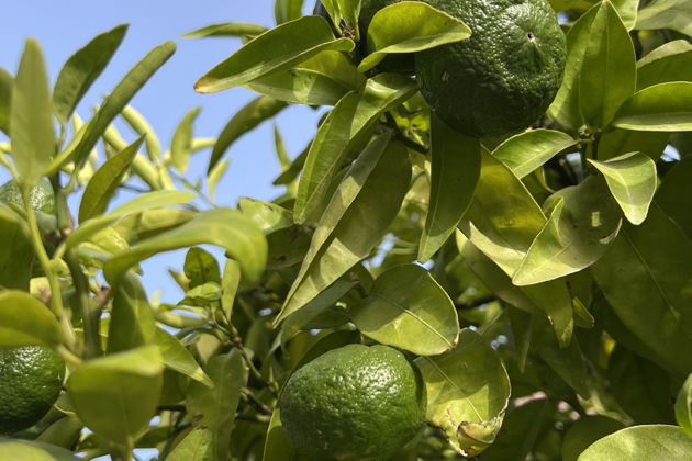 Фото экскурсии - Откройте для себя уникальный Лиссабон - 6