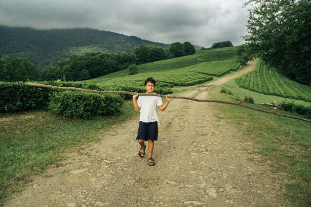 Фото экскурсии - Увидеть главные красоты Сочи за пару часов с фотоэкскурсией - 8
