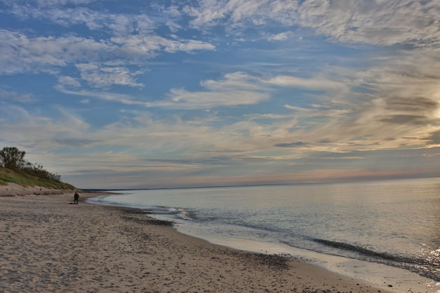 Фото экскурсии - Прогулка по Зеленоградску и Куршской косе с балтийским бризом - 8
