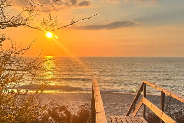 Фото экскурсии - Прогулка по Зеленоградску и Куршской косе с балтийским бризом - 12