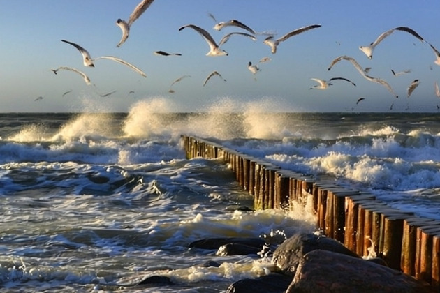 Фото - экскурсия: Прогулка по Зеленоградску и Куршской косе с балтийским бризом