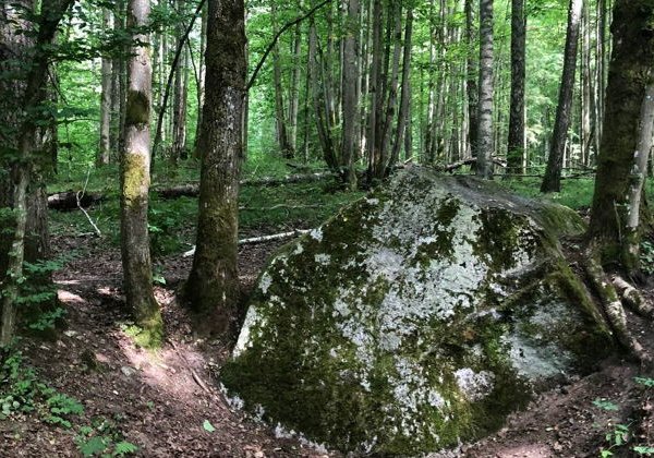 Экскурсия на Виштынецкое озеро (из Зеленоградска) - фото 3