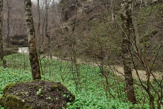 Лаго-Наки: царство гротов и водопадов «Медвежьей долины»-5