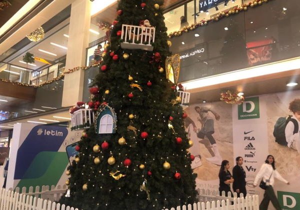 Экскурсия в аквариум Антальи из Кемера - фото 2