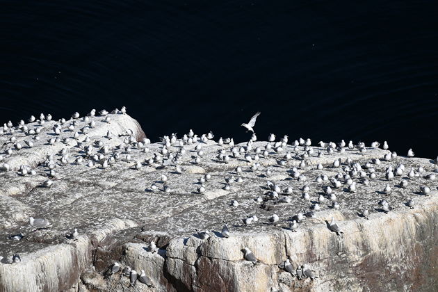 Фото экскурсии - Завораживающий Север: киты, Териберка и кладбище кораблей - 15