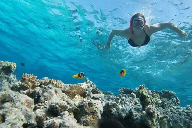 Фото экскурсии - Прогулка на яхте с нырянием в маске у дома дельфинов - 7