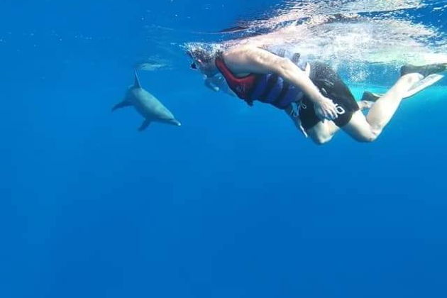 Фото экскурсии - Прогулка на яхте с нырянием в маске у дома дельфинов - 10