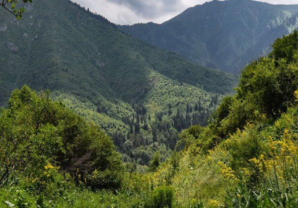 Чарынский, Черный и Куртогай каньоны для 2 человек.  - фото 1