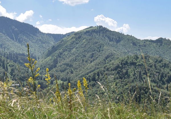 Чарынский, Черный и Куртогай каньоны для 2 человек.  - фото 4