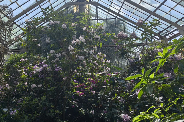 Фото - экскурсия: Прогулка по Ботаническому саду