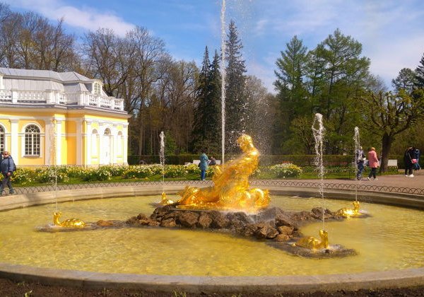 Петергоф-феерия брызг по задумке Петра. Обзорная экскурсия по Нижнему парку. - фото 1