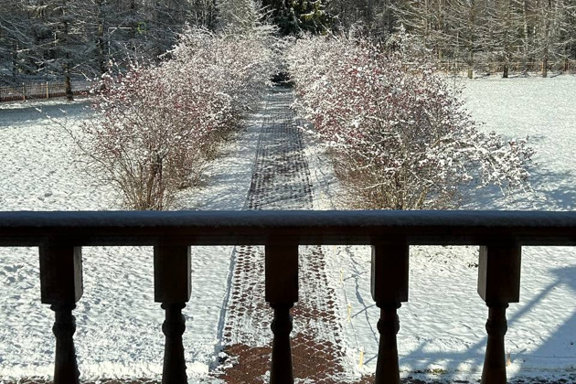 Фото - экскурсия: Экскурсия из Костромы в усадьбу Щелыково Островского