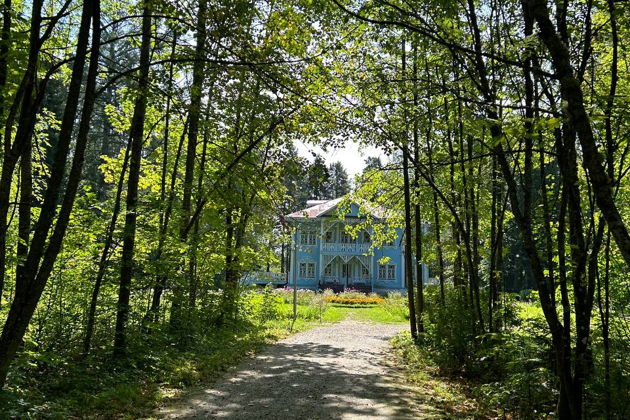 Фото экскурсии - Экскурсия из Костромы в усадьбу Щелыково Островского - 7