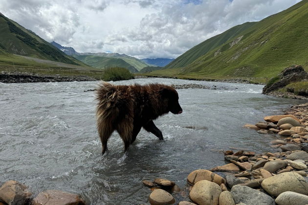 Фото экскурсии - Трехдневное путешествие по сокровищам Тушети - 9