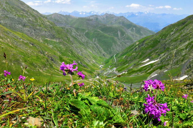 Фото - экскурсия: Трехдневное путешествие по сокровищам Тушети