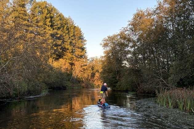 Фото - экскурсия: Двухдневный сплав на сап-бордах по реке Оредеж